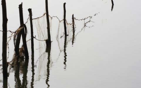Fence-in-the-water-vandana-kohli